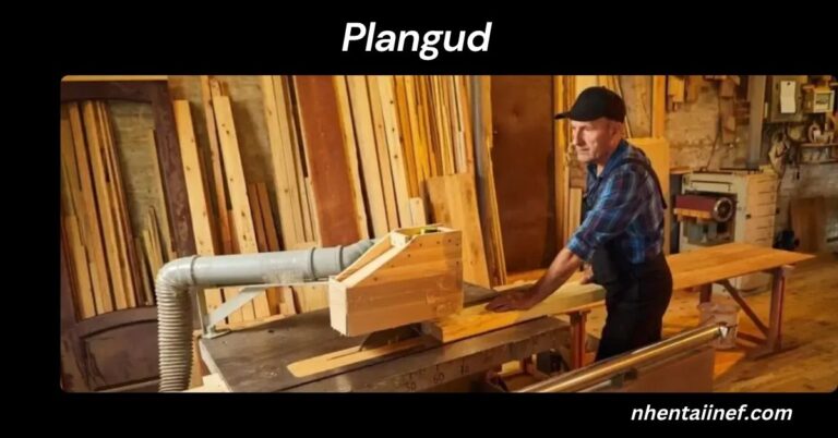 Plangud