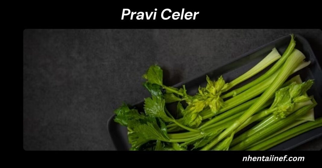 Pravi Celer: The Peppery Vegetable That Transforms Your Meals
